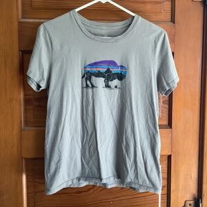 Women’s Gray Patagonia Small Buffalo T-Shirt